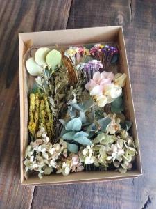 Caixa Botânica - 11 Espécies de Flores e Folhas Desidratadas - Artesanato e Personalizados