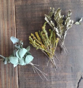 Caixa Botânica - 11 Espécies de Flores e Folhas Desidratadas - Artesanato e Personalizados