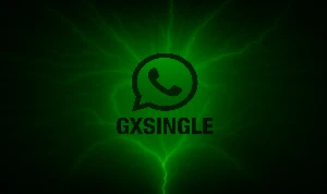 [EXCLUSIVO] 250 Membros Para Canal Whatsapp