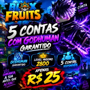 Promoção de hoje 5 contas de blox fruits por 25,63 - Roblox