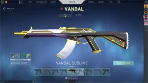 Conta de valorant com muitas skins