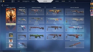 Conta de valorant com muitas skins