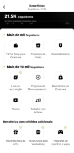 Conta Tiktok (Sem Shop) +21.500 Seguidores + Email - Redes Sociais