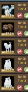 Black Desert SA Striker 289 kutum!