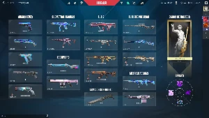 Conta de Valorant,Dima 3,Varias skins,PDL alto,Todos Agentes