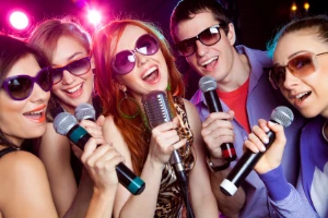 Karaoke Profissional + Pontuação Catálogo e muito mais - Outros