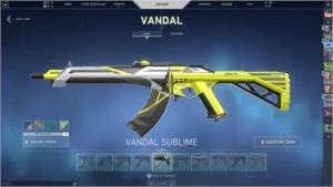 VENDO CONTA VALORANT COM R$800,00 EM SKINS - VALORANT