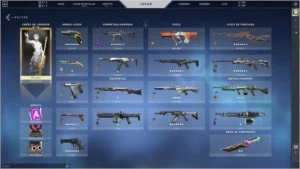 Conta valorant 958 reais gastos