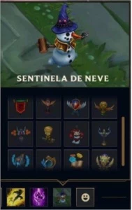 Conta LOL completa - 279 skins - League of Legends