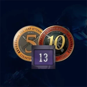 CONTA ANTIGA STEAM 13 ANOS MEDALHAS 5 E 10 ANOS DE SERVIÇO - Counter Strike CS