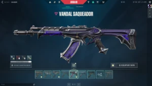 Conta Valorant gasto mais de 1000 reais
