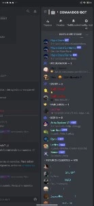Servidor discord com 600 membros