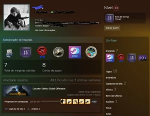 CSGO LVL 20 GC LVL 10 FACEIT 6,8k Horas MEDALHA DE 10 ANOS - Counter Strike
