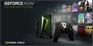 Assinatura Ge Force NOW 1 ano - Assinaturas e Premium