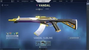 Conta Valorant com Skin Vandal Sublime