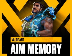 Valorant Aim Bot Memory