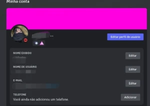 Conta Discord | 2 Impulsos |6 Meses Nitro - Others