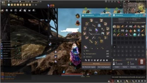 Conta de Black Desert - Outros