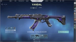 Conta de valorant com 300 reais em skin