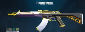 conta valorant
