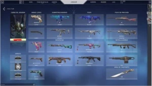 Conta valorant (1050 reais gastos!)