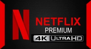 netflix 4k ultra hd 30 dias 8,90 conta com suporte garantia - Premium