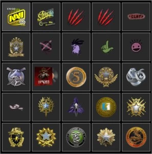 Conta Steam LV 73 + 462 JOGOS