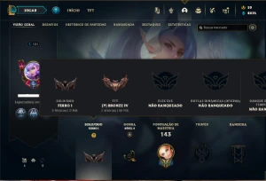 Ferro 1 com 80 Champs e 100 Skins + 72 Cromas ( MAIN SUP ) - League of Legends LOL