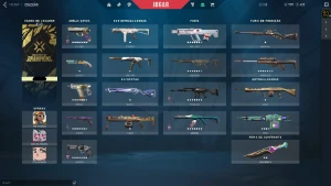 Conta Valorant Quase 1k Gasto (988,00)