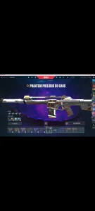 Conta de valorant com 5 VANDALs