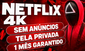 Netflix 30 Dias - Assinaturas e Premium
