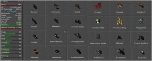 Tibia! Elder Druid 384 Quelibra Black Friday