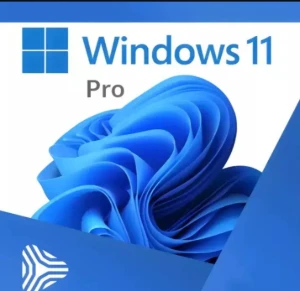 Windows 11 Pro - Licença Original - Softwares e Licenças