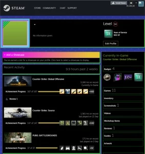STEAM 18 ANOS CSGO PRIME PRATA3 5 E 10 ANOS R$293 DE SALDO - Counter Strike