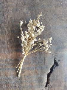 Mini Buquê para Convites com Gypsophila e Sorgo - Artesanato e Personalizados