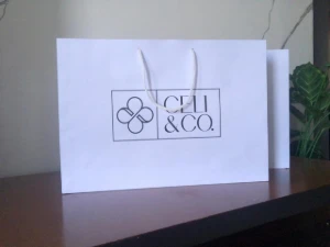 Sacola De Papel Com Logo - Artesanato e Personalizados