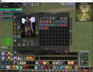 Conta do Rappelz Tournament  Lev 193 - Outros