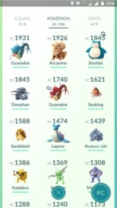 Lv 31 Sem Time - Premium + Shiny #11 - Pokémon