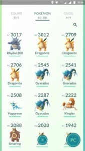 Lv 31 Sem Time - Premium + Shiny #11 - Pokémon