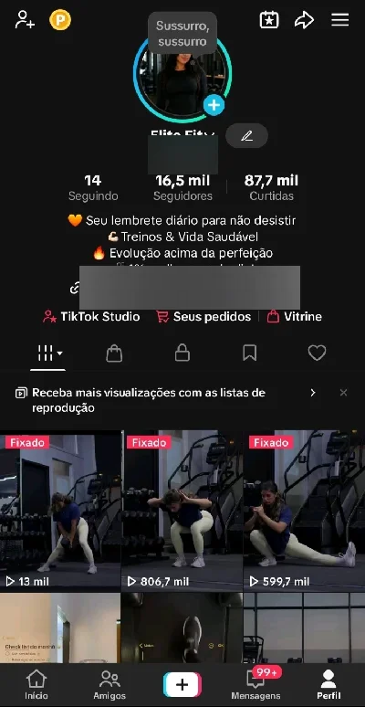 Vendo Conta Do Tiktok No Nicho Fitness – Pronta Para Mone - Outros