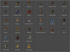 DRUID LV 600 CHARLOVER COM FLYING BOOK (NPVP VERDE) - Tibia