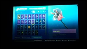 Conta Fortnite com mais de 50 Skins e Salve o Mundo