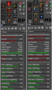 ROYAL PALADIN 313 SKILLS 114 COM MS 244 ML 80 - Tibia