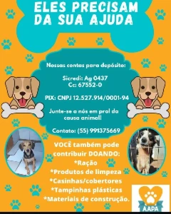 Ração para animais abandonados