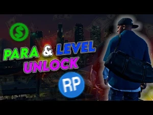 Gta5 Online (Pc) Pacotes De Money + Level + Unlock .