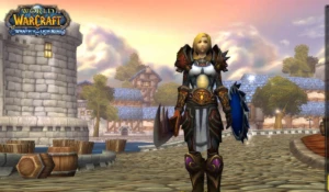 Conta wow brasil 8 char lvl 80 full pvp + invencible - Blizzard