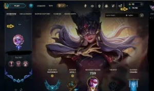 Conta League of Legends Platina 3 • 332 Skins • Todos Champ LOL