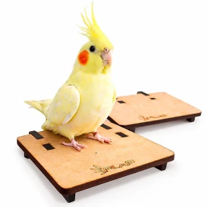 Plataforma para Calopsita e Periquito - Flap Pet