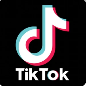 Vendo conta tiktok 1000 seguidores - Redes Sociais