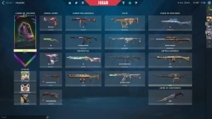 Conta Valorant Com Várias Skins